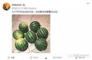 su166吃瓜网,揭秘娱乐圈幕后故事，带你走进明星真实生活