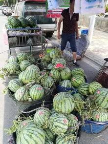 德阳网红吃瓜事件视频最新,真相揭秘，网络舆论的漩涡与反思