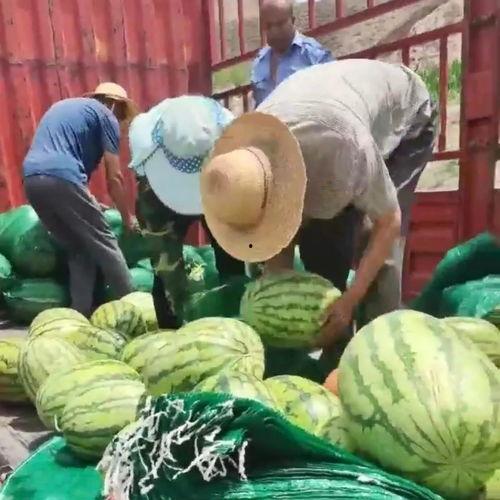 宝坻区吃瓜爆料,揭秘当地热点事件背后的真相